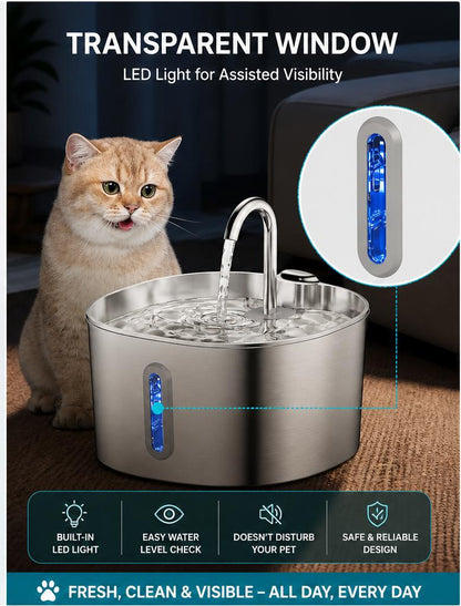 Stop Your Cat From Dehydration Today 💧