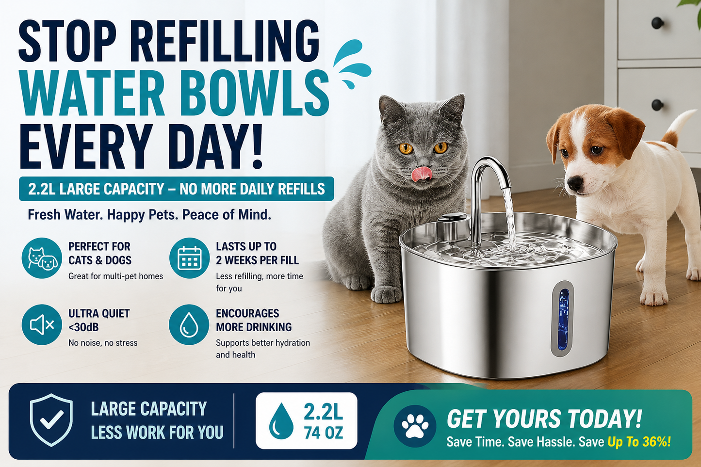 Stop Your Cat From Dehydration Today 💧